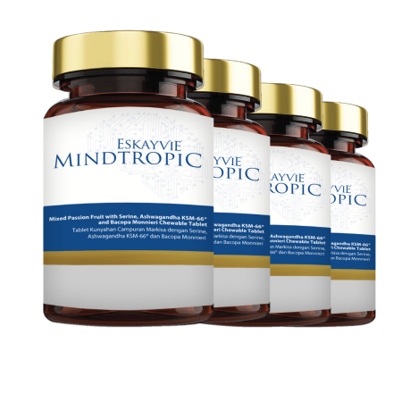 SET SEKOLAH MENENGAH